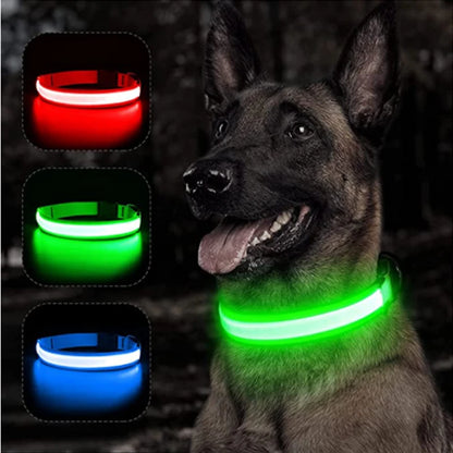 Collar con luz LED